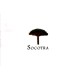 سقطرئ Socotra